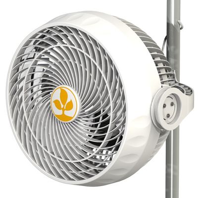 Secret Jardin Monkey Fan v2.0 120 volt Nonoscillating with Pole Attachment