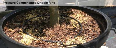Dramm Irrigation Dribble Ring, Leader Tube, &amp; Pressure Compensated PC Emitter