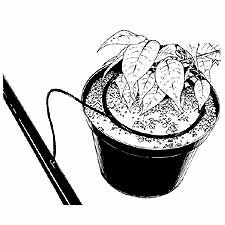 Dramm Irrigation Dribble Ring Drippers Irrigation System Dramm Irrigation Dribble Ring Drippers Irrigation System