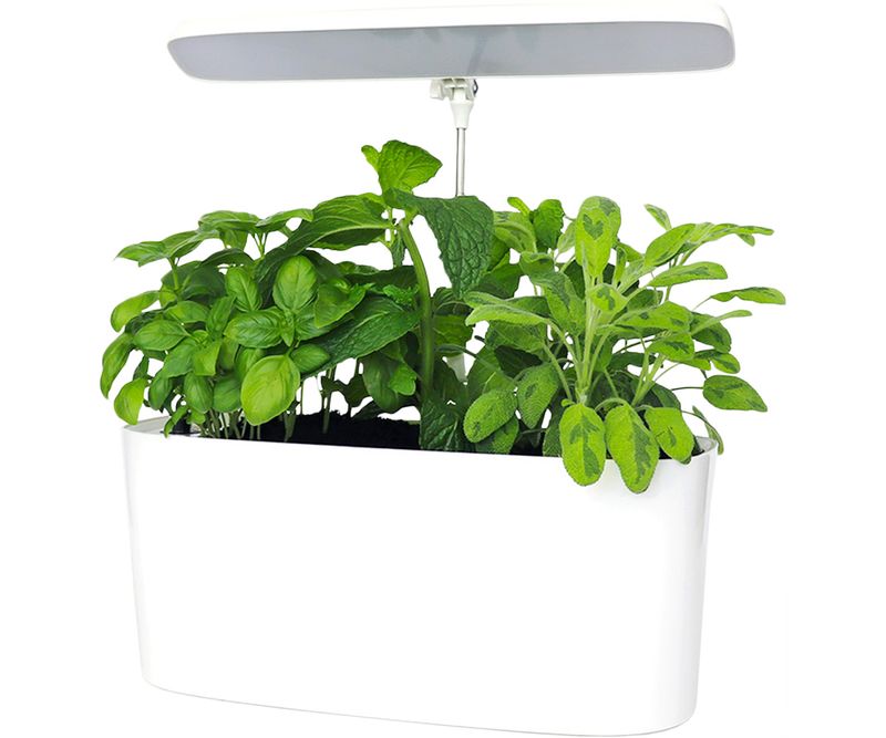 SunBlaster Nano Garden with LED Grow Light Timer &amp; Adapter White