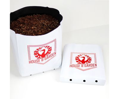 House &amp; Garden Coco Pot