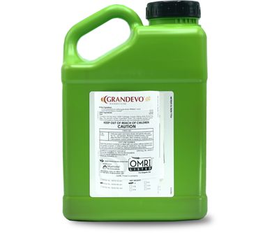 Marrone Bio Innovations Grandevo CG Bioinsecticide 10 pound