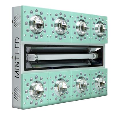 Mint LED Light COB Panel 460 watt LED1000