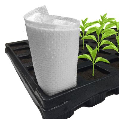 EZ CO2 EZ Co2 Pads 10/ pack