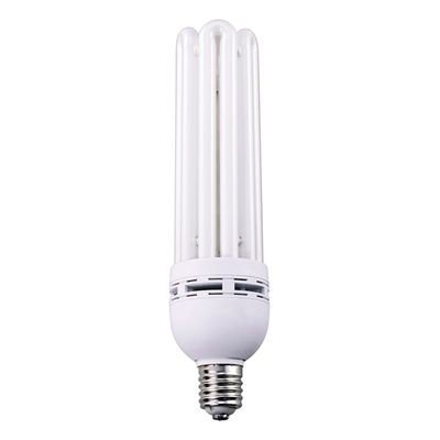 InterLux CFL Lamp 6400 Kelvin