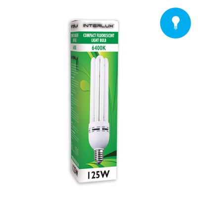 InterLux CFL Lamp 6400 Kelvin