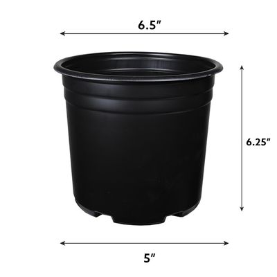 Grow1 Round Thermoformed Black Pot with Wide Lip