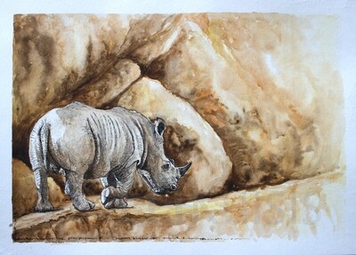 Pen & Ink & Watercolour Originals