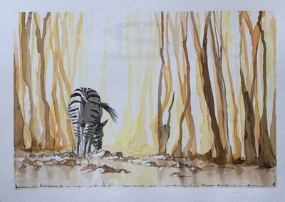 Zebra Walk