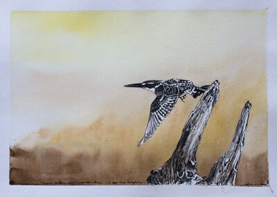 Limited Edition Prints