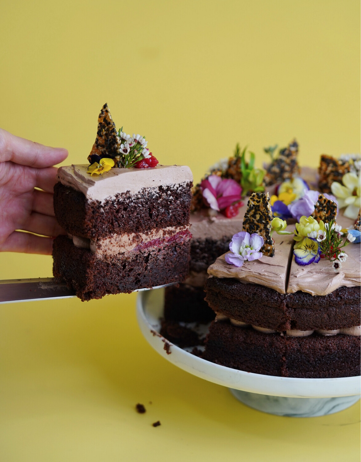 Vegan Chocolate Raspberry Cake