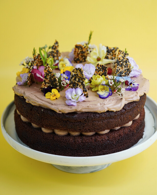 Vegan Chocolate Raspberry Cake