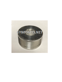 Pulley Poly-V for Stairmaster Alternator