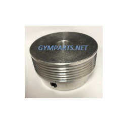 TRANSMISSION PULLEY