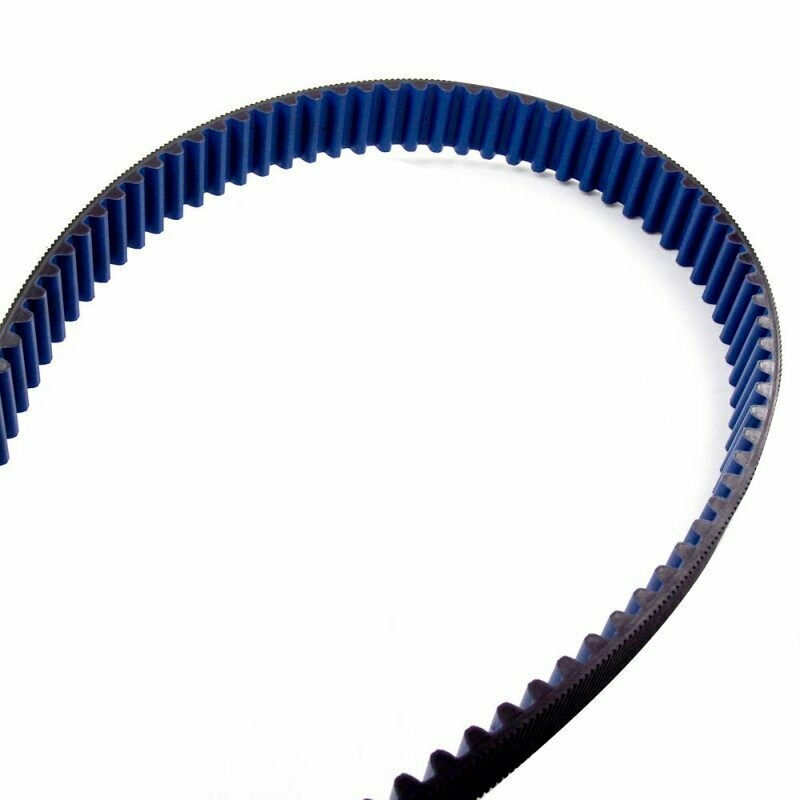 SCHWINN CARBON BLUE BELT