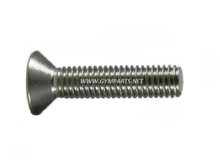 LIFE FITNESS TREADMILL DECK SCREW