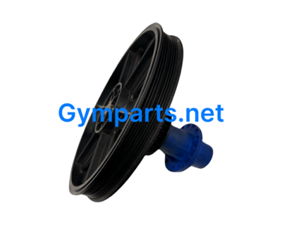 Stair Master Eccentric Hub with Pulley