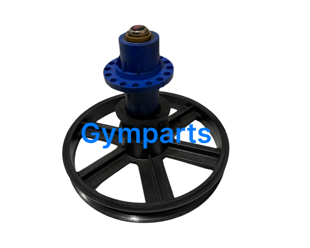 Stair Master Eccentric Hub with Pulley