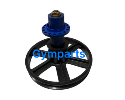 Stair Master Eccentric Hub with Pulley