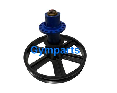 Stair Master Eccentric Hub with Pulley