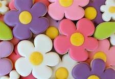 Flower DIY Sugar Cookie Kit