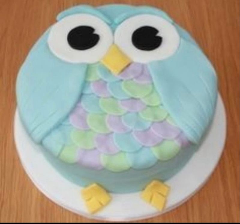 Kids Owl Cake Bake and Decorate Workshop Monday April 21st 10am-3pm