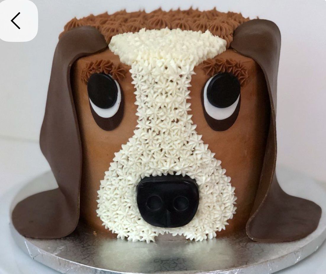 Kids Bake and Decorate Basset Hound Cake Monday December 29th 10am-3pm