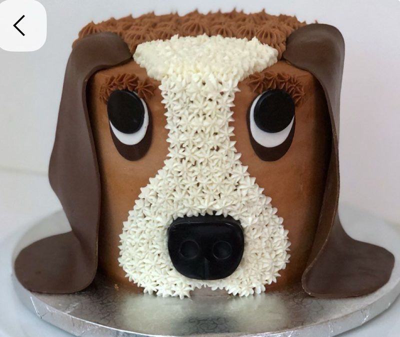 Kids Bake and Decorate Basset Hound Cake Monday December 29th 10am-3pm