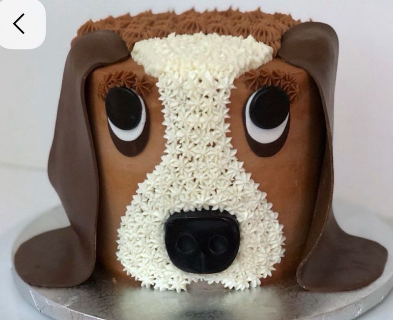 Kids Basset Hound Cake Bake and Decorate Workshop Friday November 6th 10am-3pm