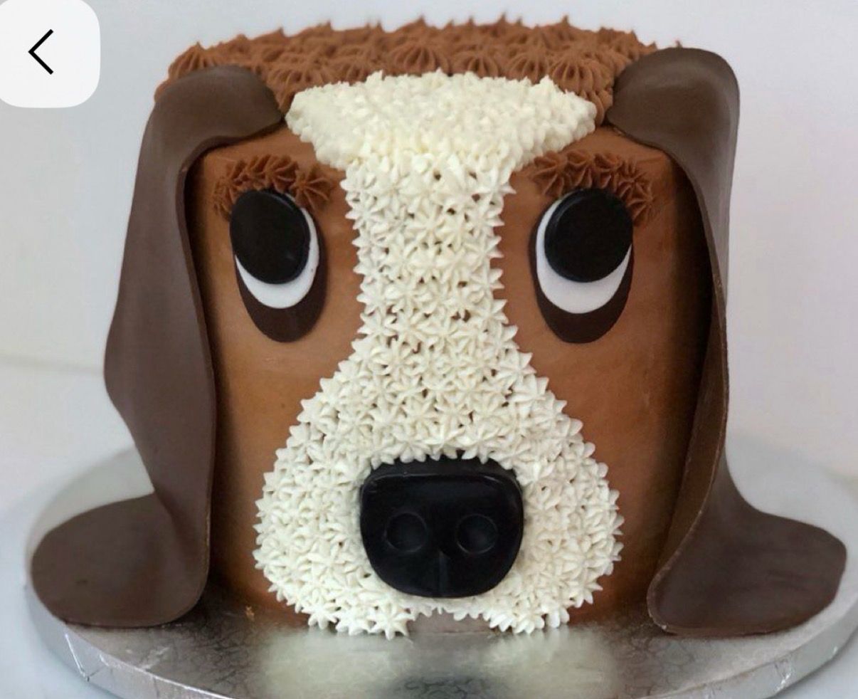 Kids Basset Hound Cake Bake and Decorate Workshop Friday November 6th 10am-3pm Kids Basset Hound Cake Bake and Decorate Workshop Friday November 6th 10am-3pm