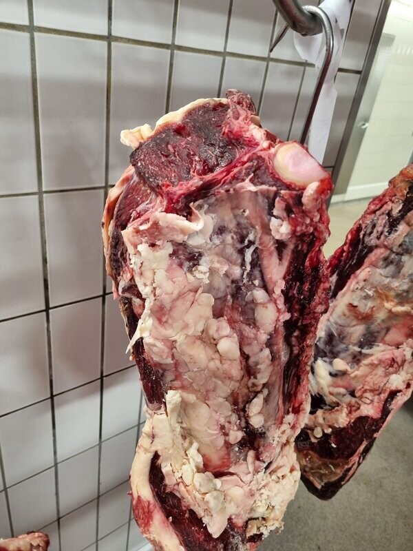 Bio Dry Aged Beef: Kotelett