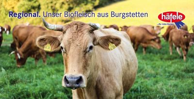 BIO Rindfleisch