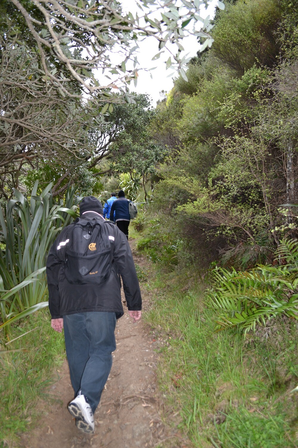 Men on the Mountain - Early Bird (Closes 1 October)