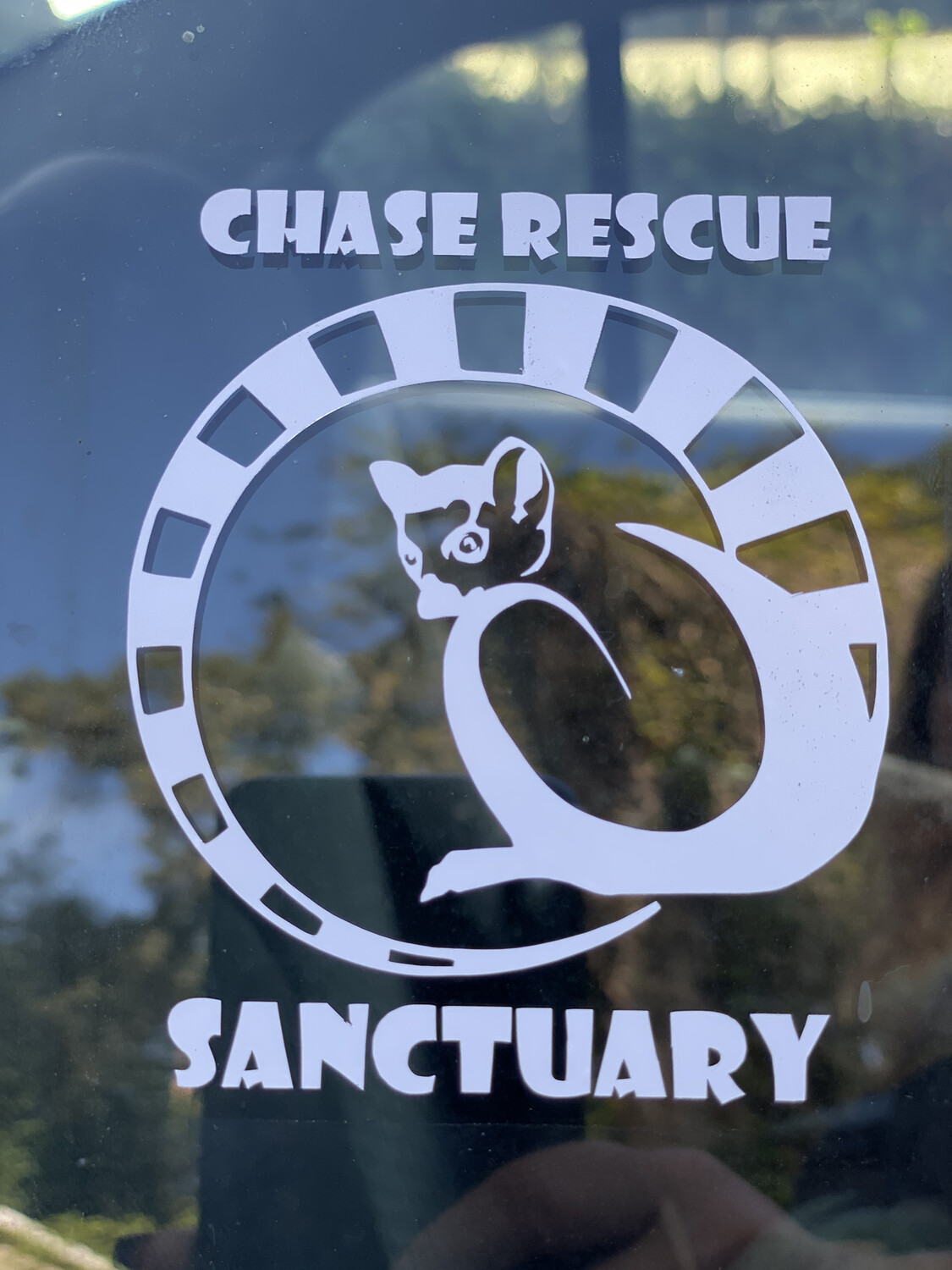 Chase Decals