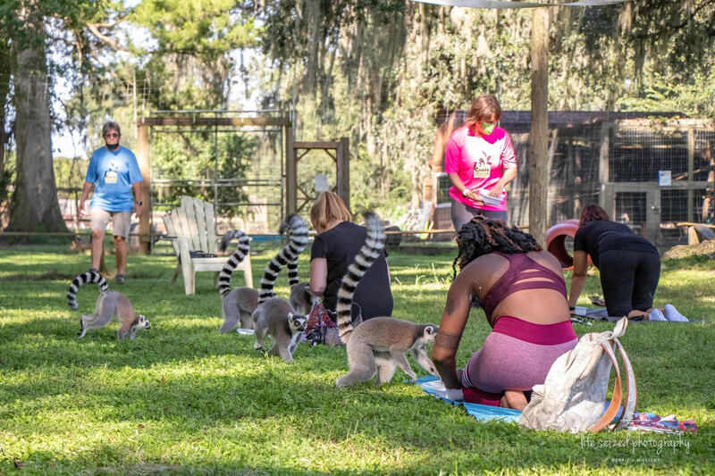 Lemur Yoga- Saturdays, 9:00AM