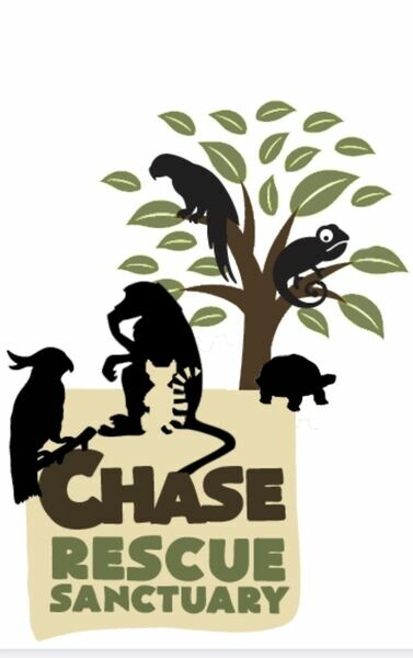 Chase Sanctuary’s Online Store