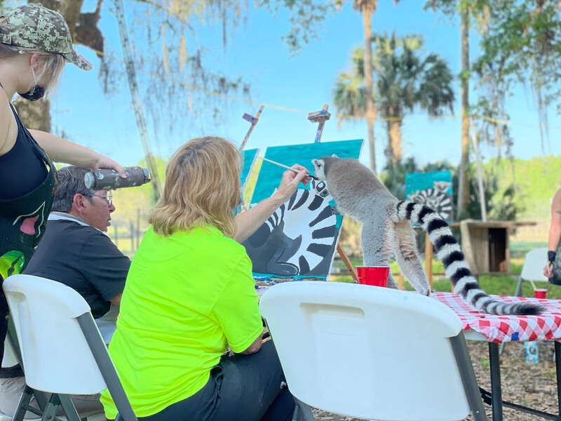 Painting With Primates- Sundays, 10 AM and Fridays, 3 PM (as scheduled)