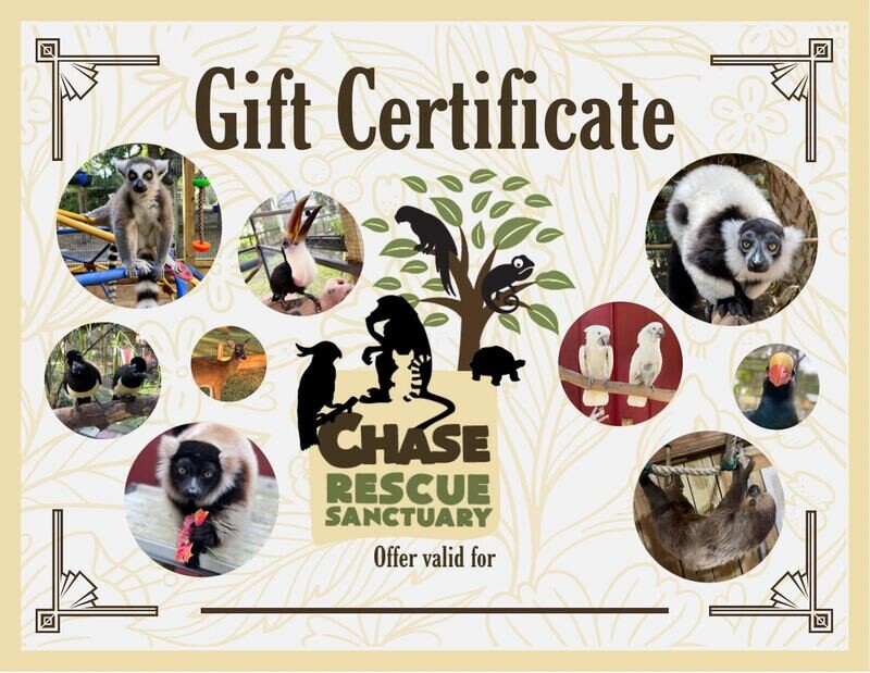 Gift card (Various amounts available)