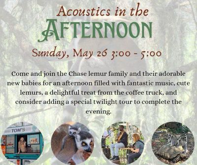Acoustics in the Afternoon (3:00-5:00 PM)