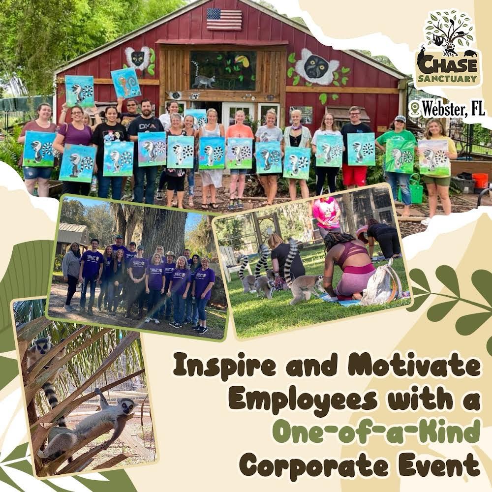Corporate Team Building Inquiry