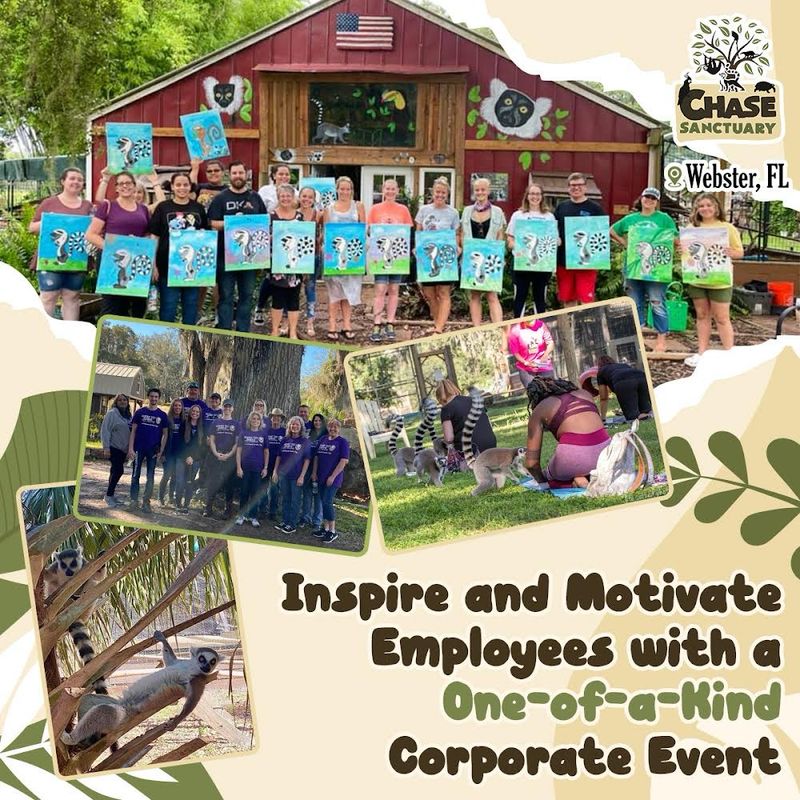 Corporate Team Building Inquiry