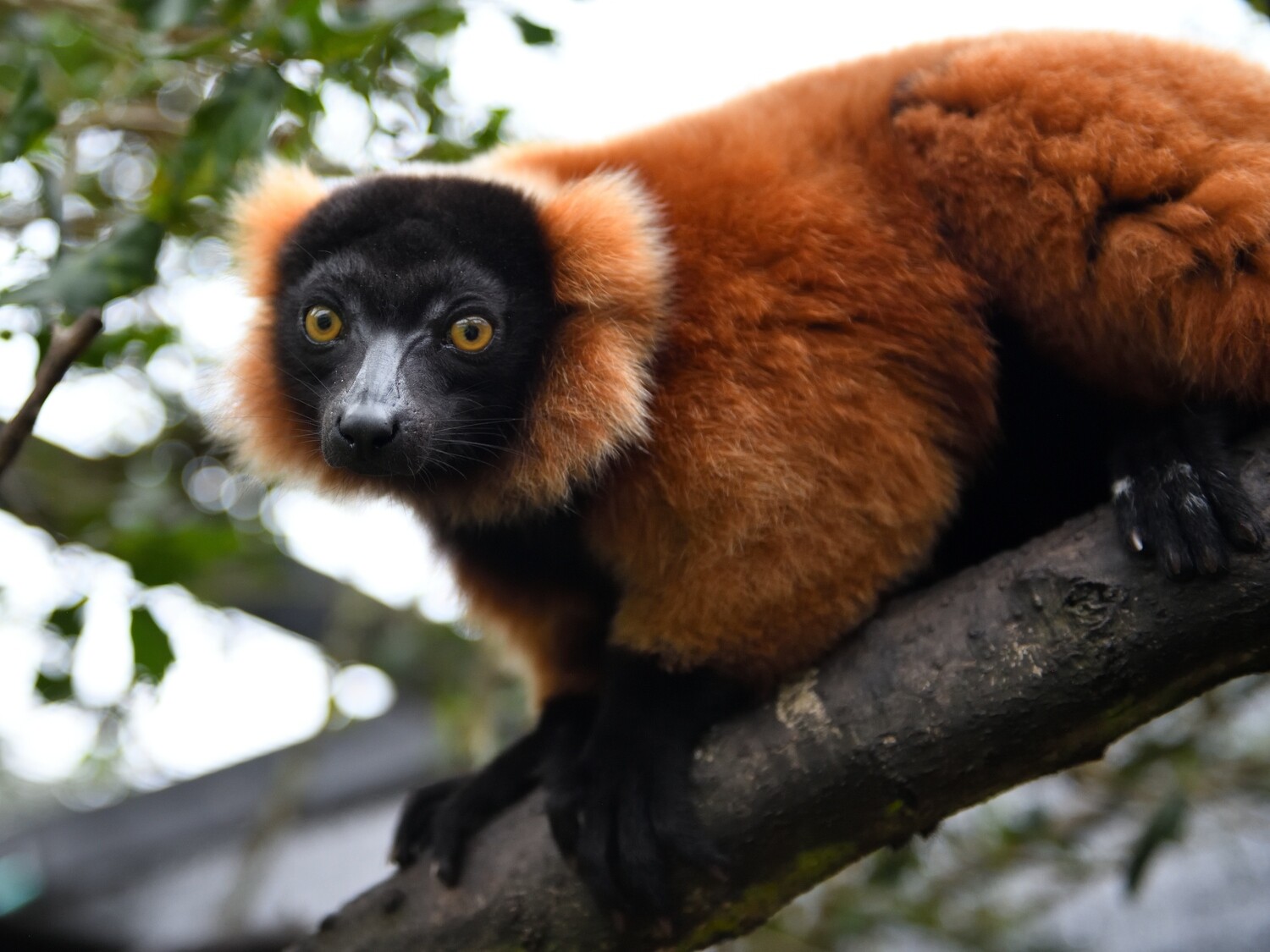 Keeper for a Day 9am-1pm