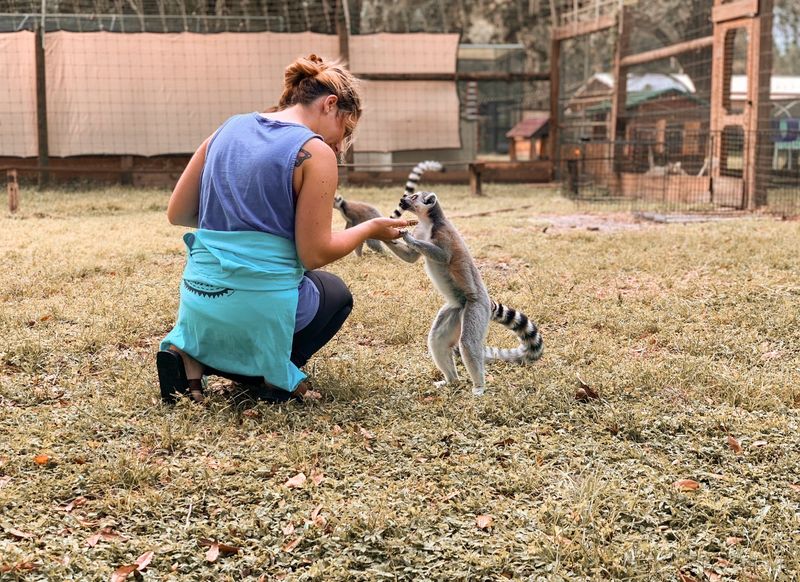 Sunrise at the Sanctuary