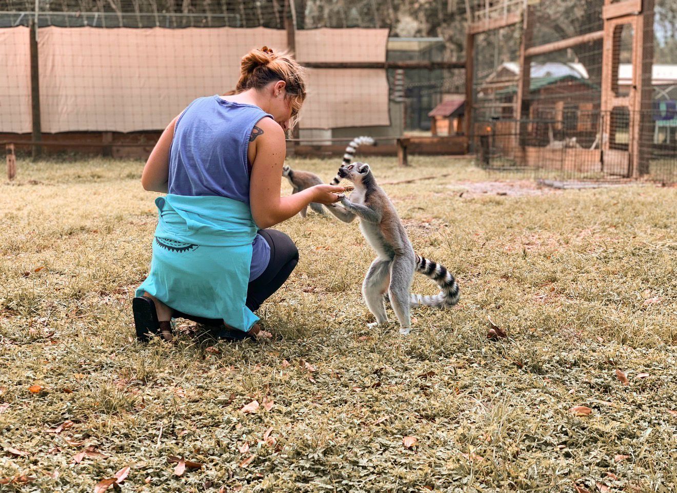 Sunrise at the Sanctuary