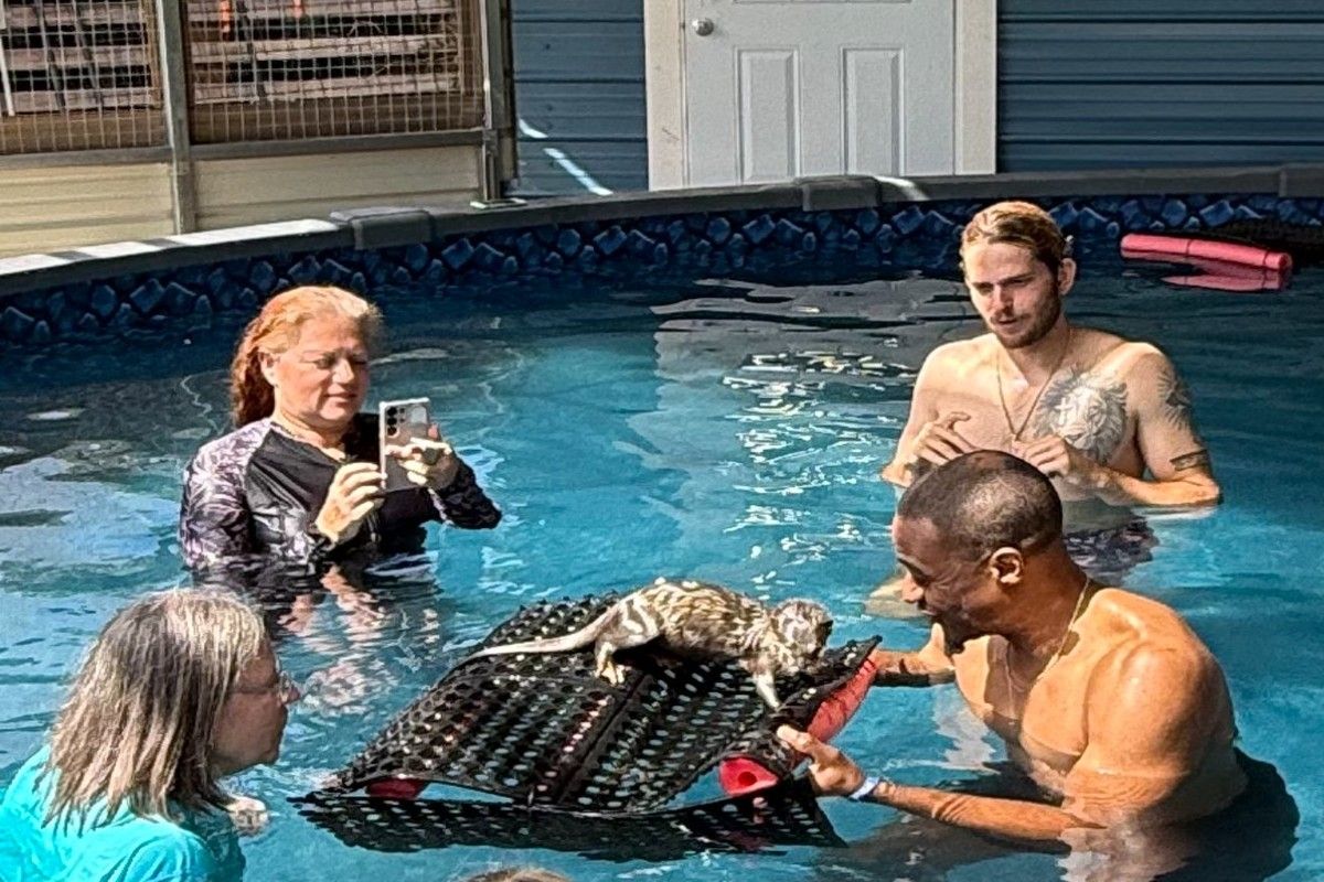 Otter Swim Lessons