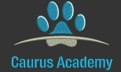 Caurus Academy