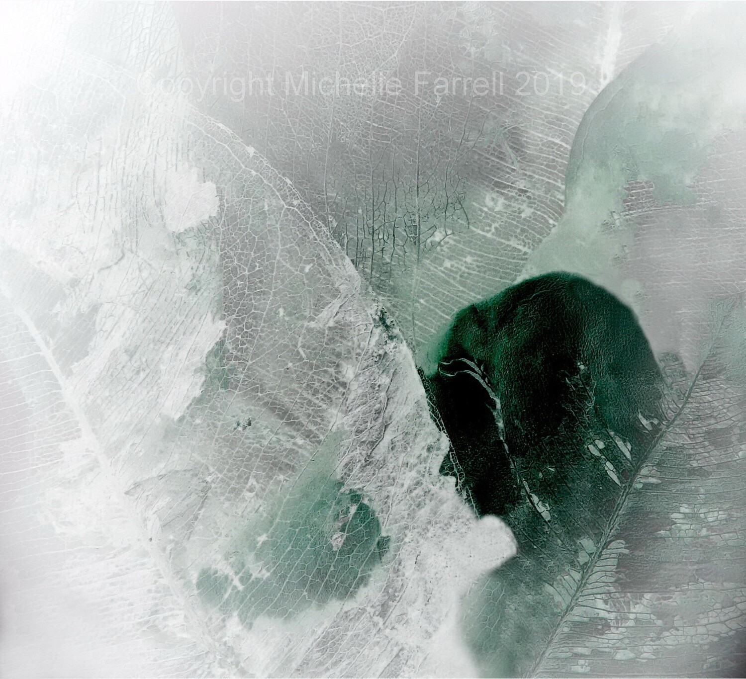 Art Print - Enchantment Ltd Edition