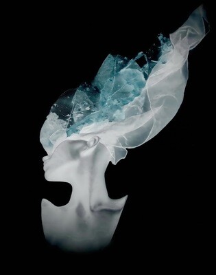 Limited Edition Prints