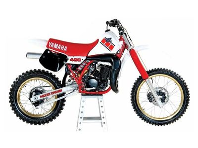 YZ