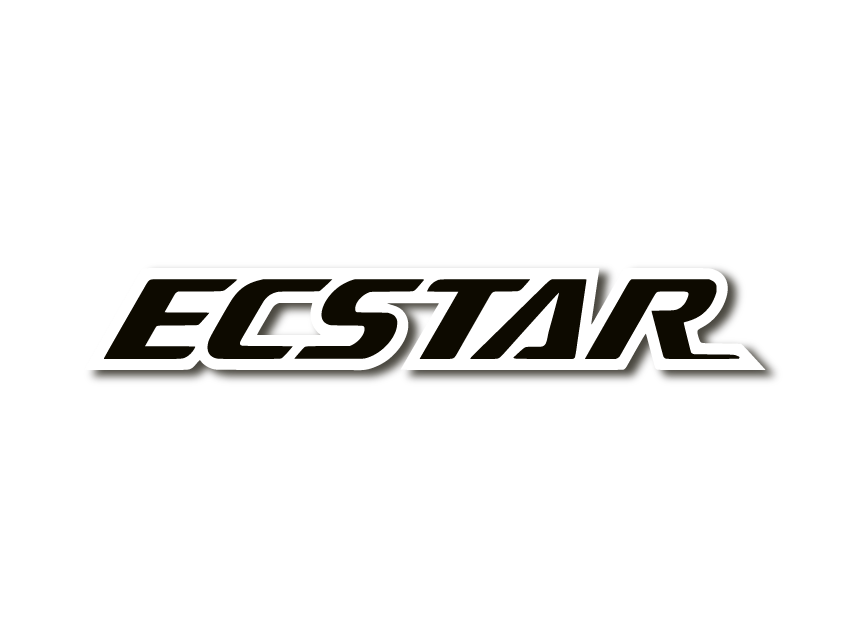 Sticker Suzuki ECSTAR